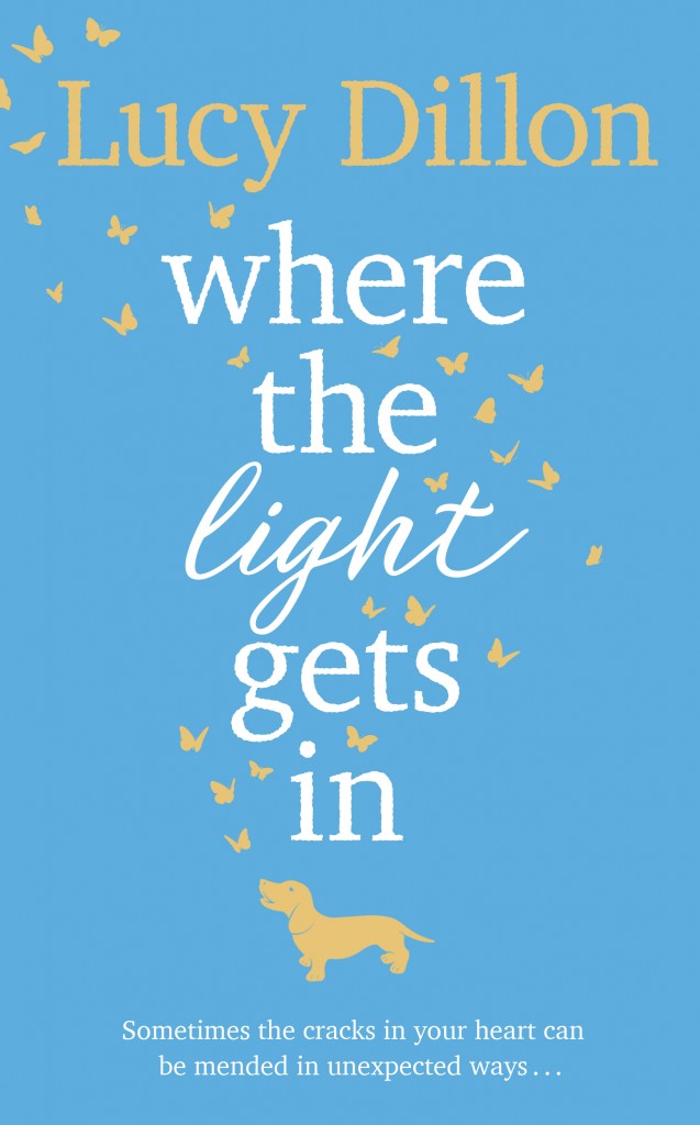 The finished cover for the hardback edition of Where The Light Gets in